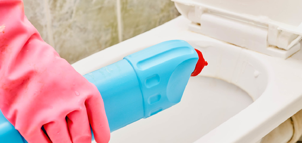 How to Fix Blue Toilet Seat 08 Effective Ways (2024)