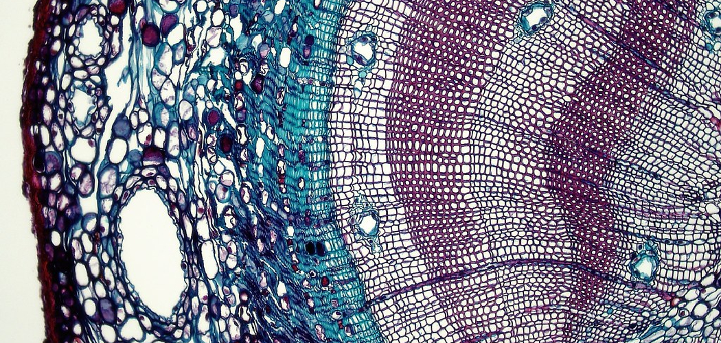 How to Fix Resin That Won't Harden 10 Effective Ways How