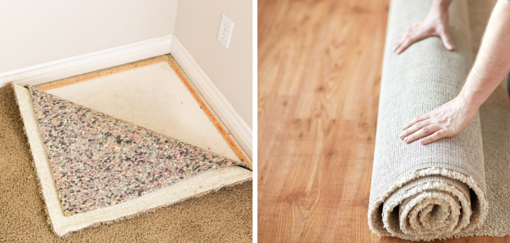 How to Fix a Squeaky Floor Under Carpet 10 Detailed Guide