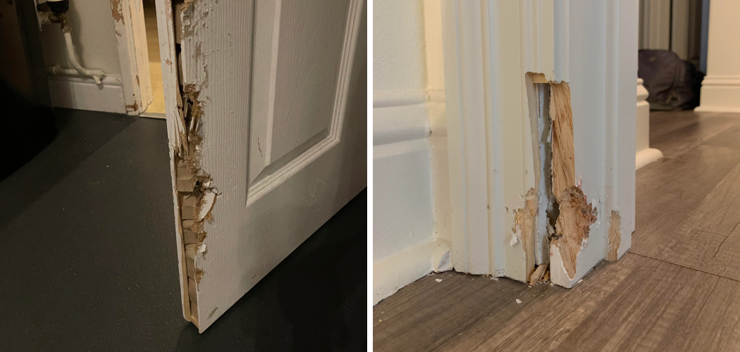 how-to-fix-a-chewed-up-door-frame-10-effective-ways-2024