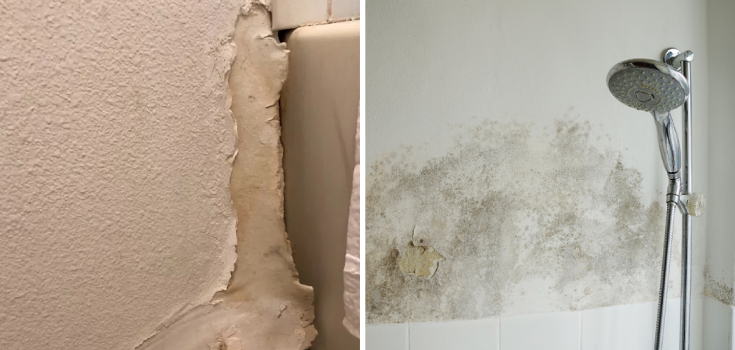 How to Fix Water Damaged Wall in Bathroom 6 Easy Steps (2025)