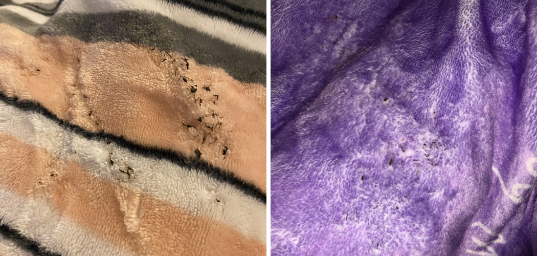 How to Fix a Dryer Burn Blanket 5 Easy Steps (2024)