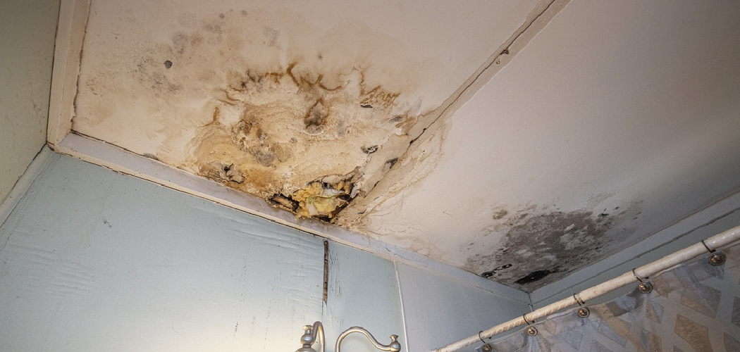 How to Fix a Peeling Bathroom Ceiling 5 Easy Steps (2024)