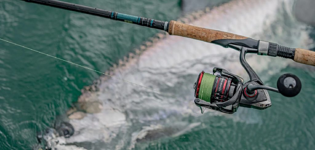 How to Fix a Baitcaster That Won't Reel